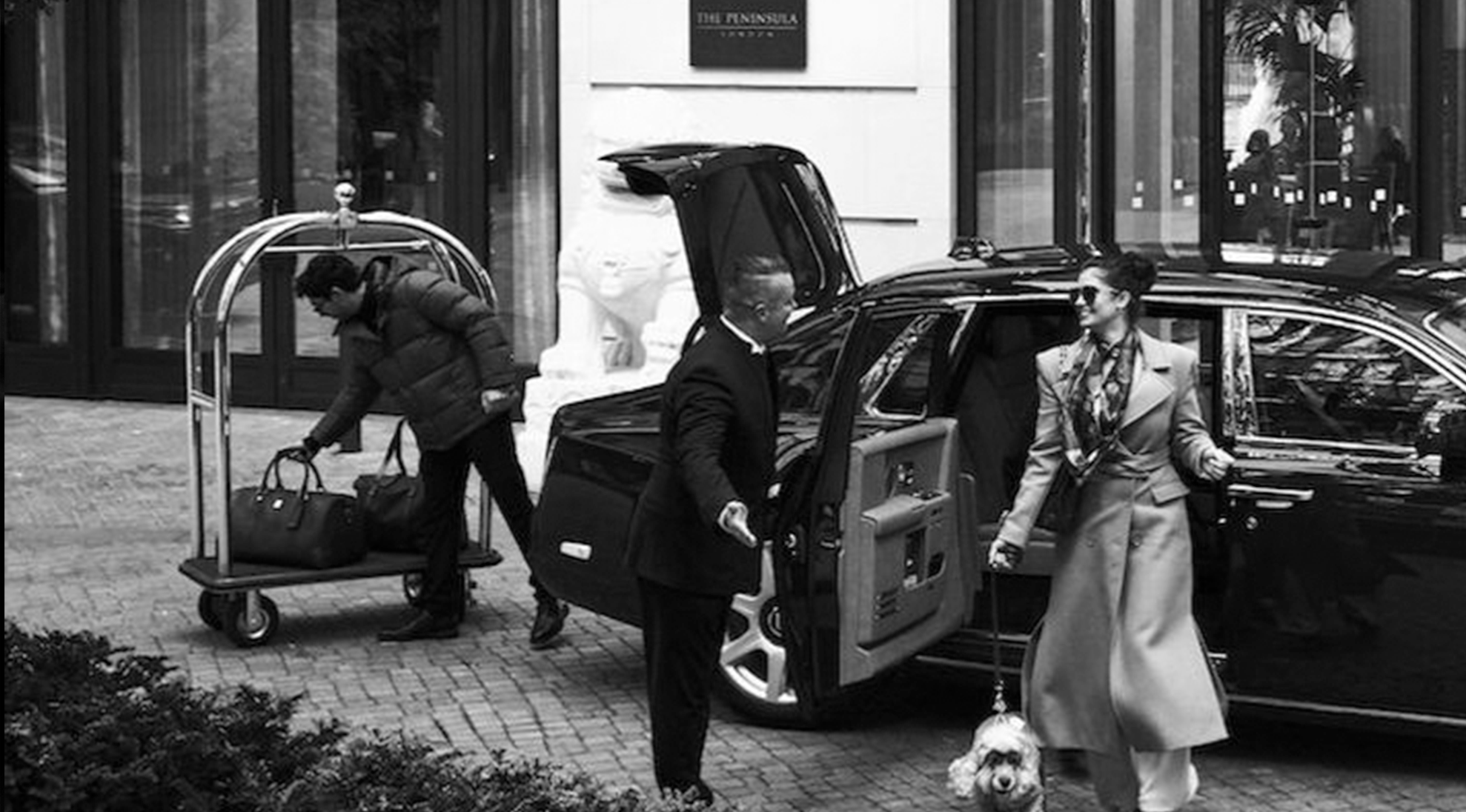 Harrods Chauffeur Service